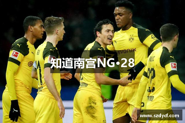 知道南宫NG·28
